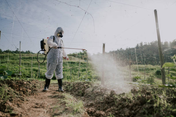 Best Affordable Pest Control Services  in Spackenkill, NY