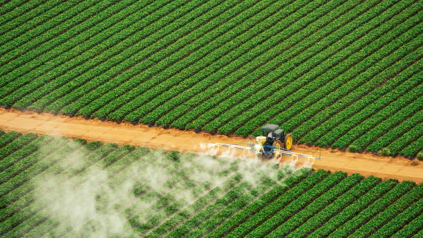 Pest Control Cost in Spackenkill, NY