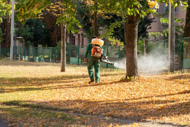 Best Pest Prevention Services  in Spackenkill, NY