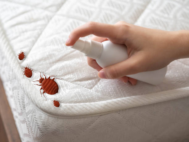 Best Pest Removal Services  in Spackenkill, NY