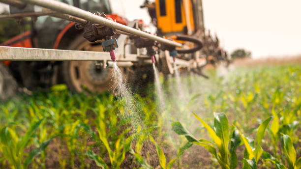 Best Mosquito Control Services  in Spackenkill, NY